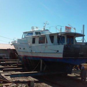 boat in tarpon