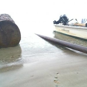 Big stick, tough pull off the beach.