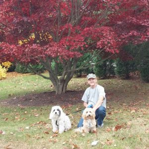 Panda, Tuffy and Dick, Tennessee 2015