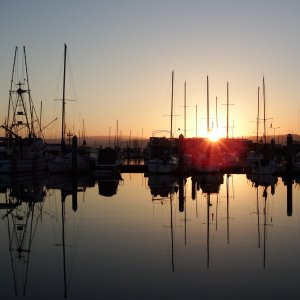 Eureka Marina at sunrise
