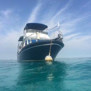 On mooring ball near Carysfort reef.