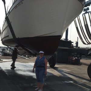 Admiral with her new boat. Survey haul, Bellingham, WA 2017