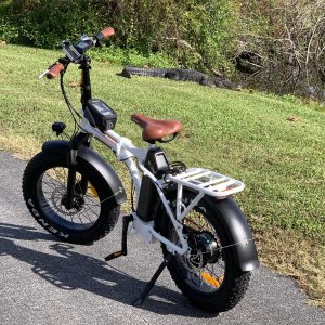 My electric bike with a gator in the background