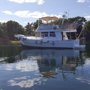 Stella Bay att Anchor