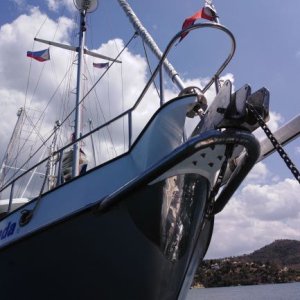 Details of bow