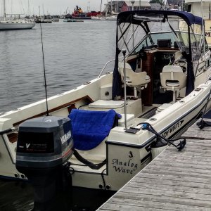 On the dock at the front Street marina in Belfast Maine