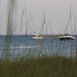 Egmont Key 2012