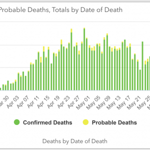 md covid 19 deaths through June 10 (2)