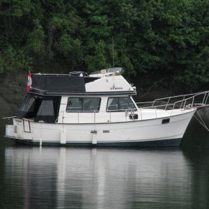 1982 Campion 310 Adventure Trawler (2009-2013)