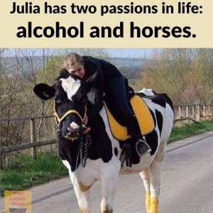 Alcohol and Horses