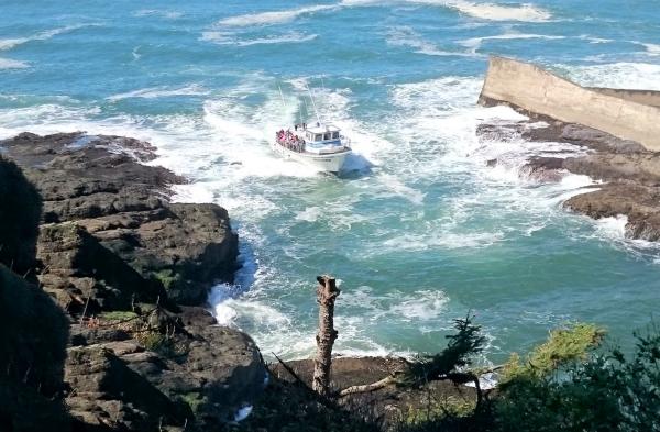 rocks at depoe bay