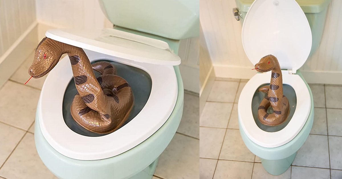 toilet-snake-amazon.jpg