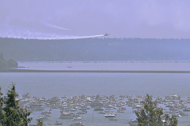 640px-Seafair_2009_-_Blue_Angels_flying_over_boats_on_Lake_Washington_-_colormapped.jpg