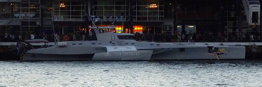 900px-MV_Brigitte_Bardot_at_Circular_Quay_Sydney.jpg