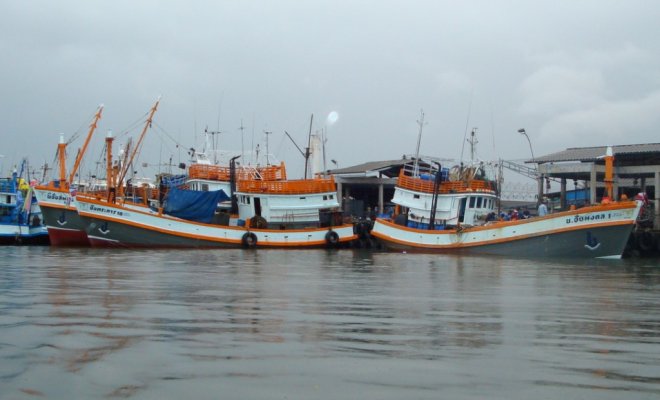 phuket fishing port3.jpg