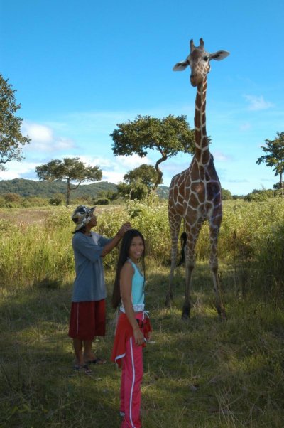 1a Giraffe DSC_0035.jpg