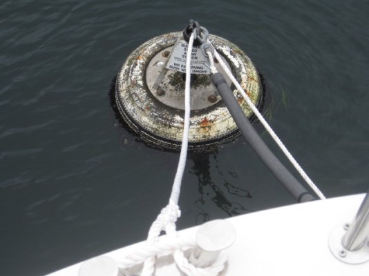 mooring-bouy.jpg