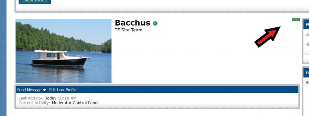 Bacchus Profile.jpg