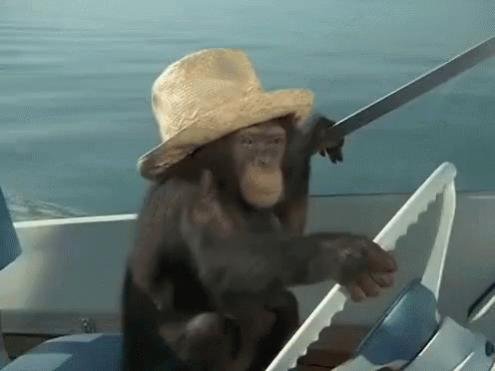 monkey boat driver.jpg