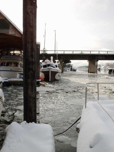 2008 marina winter 008.jpg