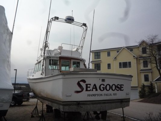 35' Henriques SEA GOOSE 001.jpg