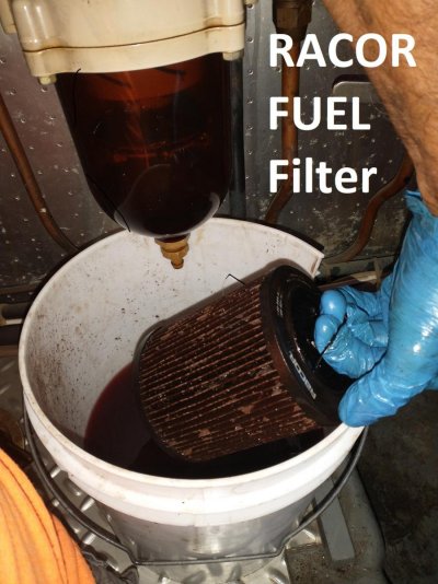 2-dirty primary fuel filter.jpg