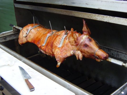 pig cooked.JPG
