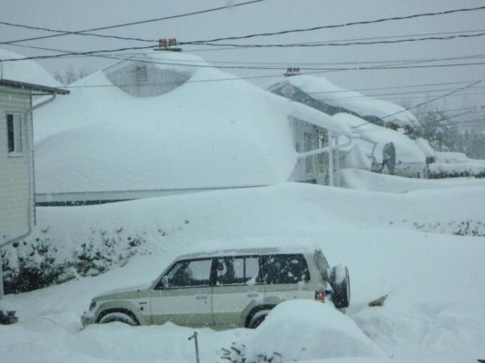 front window snow.jpg