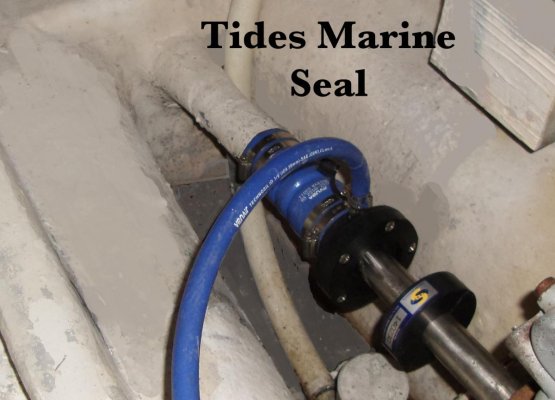 Tides Marine seal.jpg