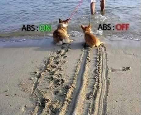 abs on.jpg