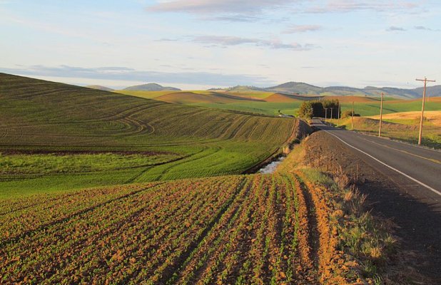 Palouse.jpg