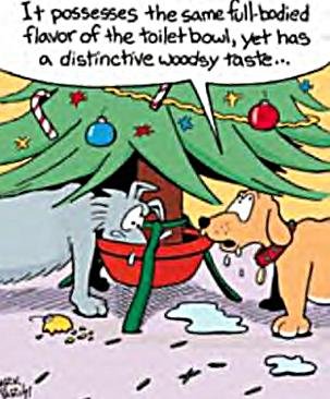 funny christmas joke dogs drinking out of tree bowl comparing taste to the toilet bowl.jpg