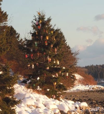 Maine Xmas Tree3.jpg