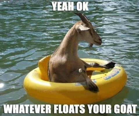goat float.jpg