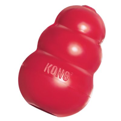 kong.jpg