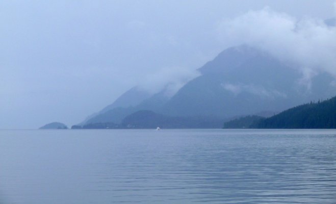 johnstone strait.jpg