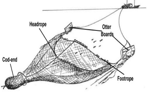 Trawl-Diagram.jpg