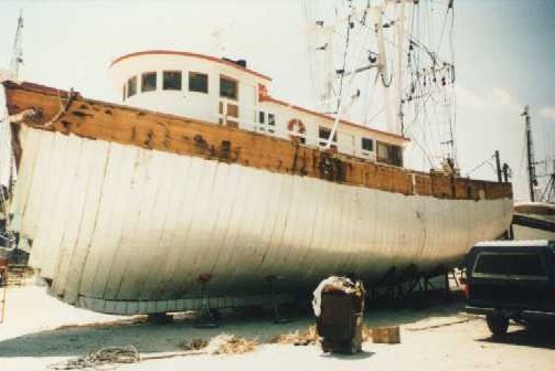 C-Flex on hull.jpg