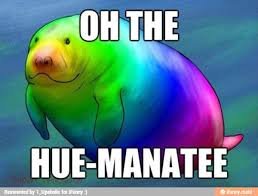 manatee.jpg