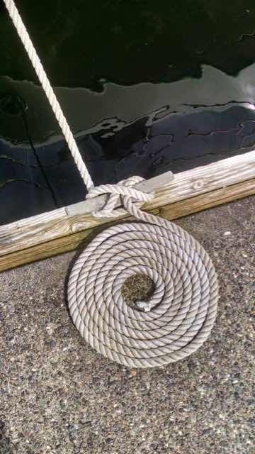 Up To 80% Off on Boat Dock Line Bungee Cords w