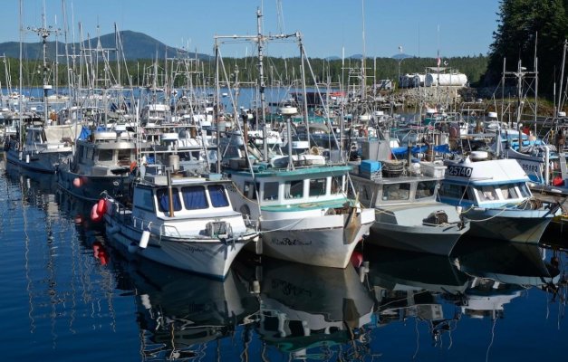 Commercial Boats, Shearwater.jpg