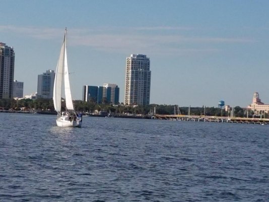 sailing tampa bay.jpg