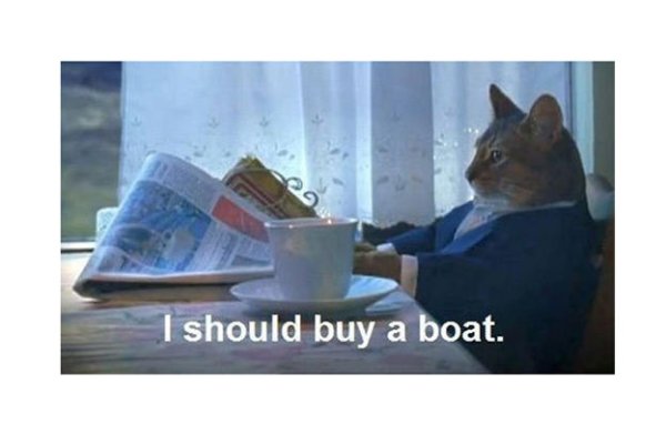 buy-a-boat-cat-01-625x450.jpg