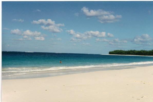 guana cay north end reef side.jpg