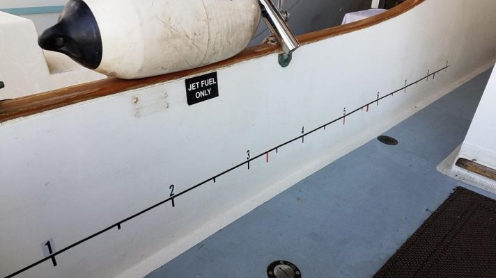 Sturgeon Tape Measure.jpg