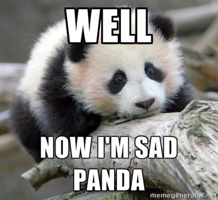 sad-panda.jpg