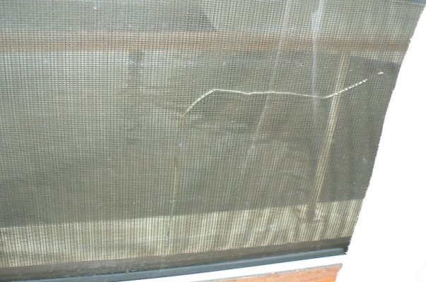 cracked window.jpg