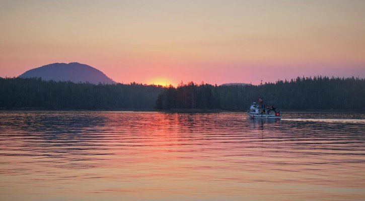 Sunrise Trawler, Shearwater.jpg