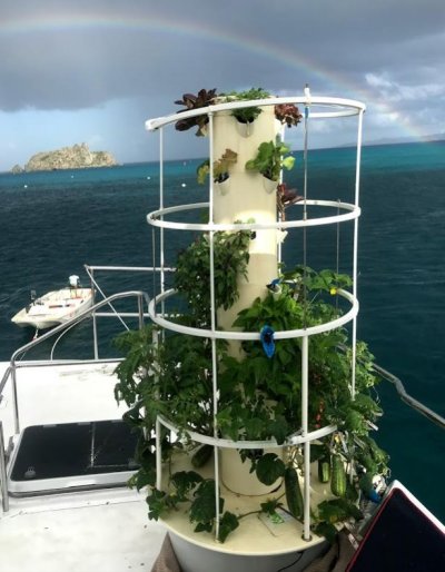 Tower garden.jpg