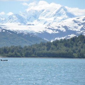 Fairweather mtns Glacier Bay